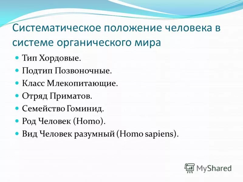 Семейство гоминиды отряд приматы тип хордовые. Систематическое положение человека. Систематическое положение человека homo sapiens. Систематическое положение человека в органическом мире.