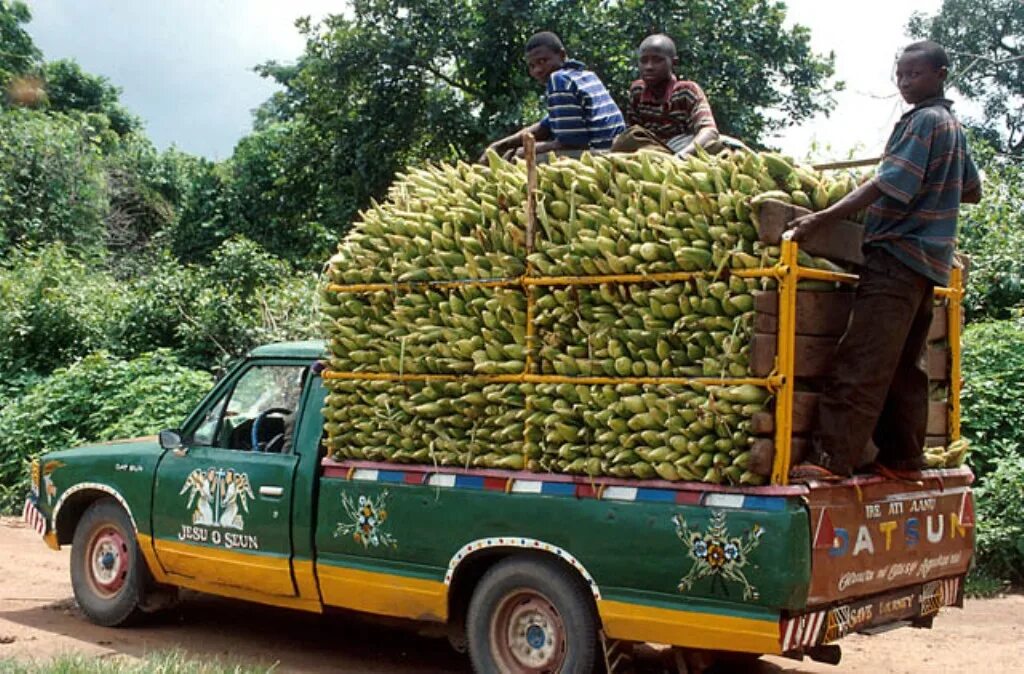 Сельское хозяйство Нигерии. Нигер сельское хозяйство. Сельское хозяйство Африки. Сельское хозяйство центральной Африки. Экономическое развитие нигера