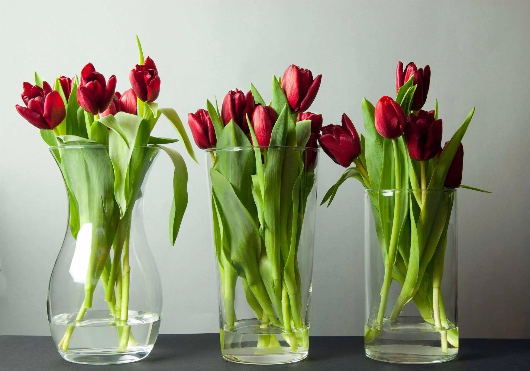 Тюльпаны в вазе. Тюльпаны в стеклянной вазе. Ваза с цветами. Цветы в прозрачной вазе. Можно ли ставить тюльпаны с розами