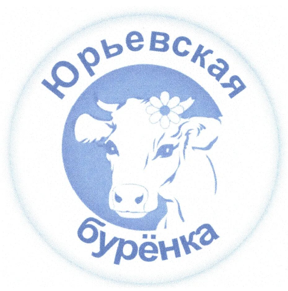 Слоган буренка. Директор алтайской буренки буланиха. Буренка пермский край. Корова буренка. Буренка пермский край.