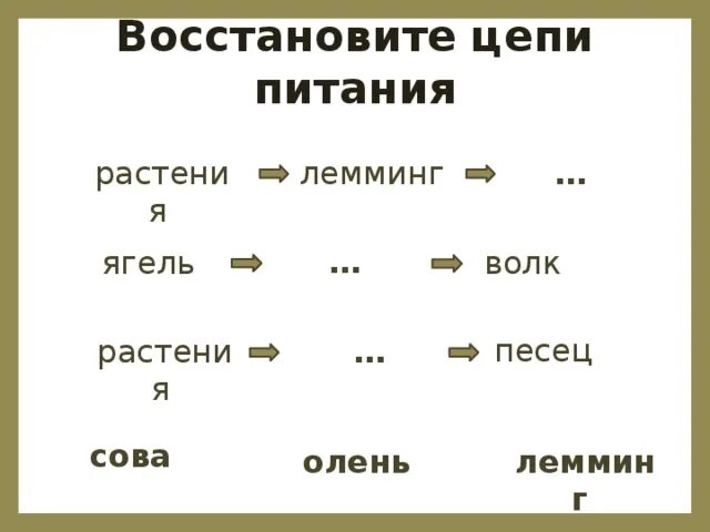 Составить пищевую цепь тундры. Восстанови цепи питания. Цепь питания растений. Восстановить цепи питания. Ягель олень волк цепь питания.