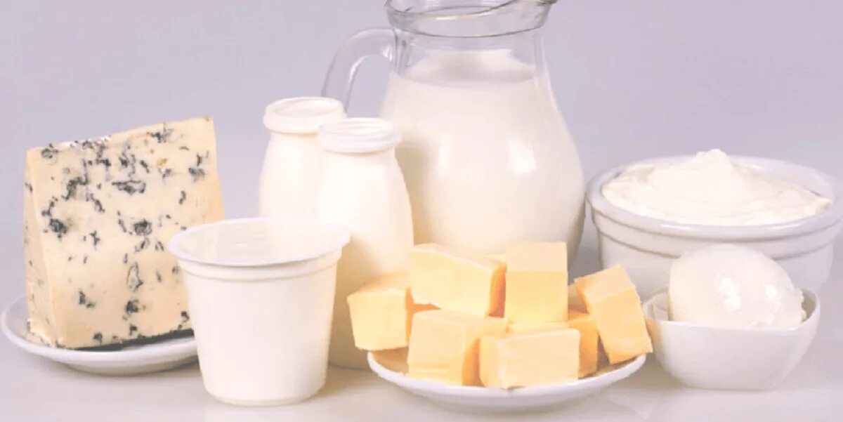 Молочные продукты. Производство кефира. Что делают из молока. Что производить из молока. Молоко и молочные продукты.