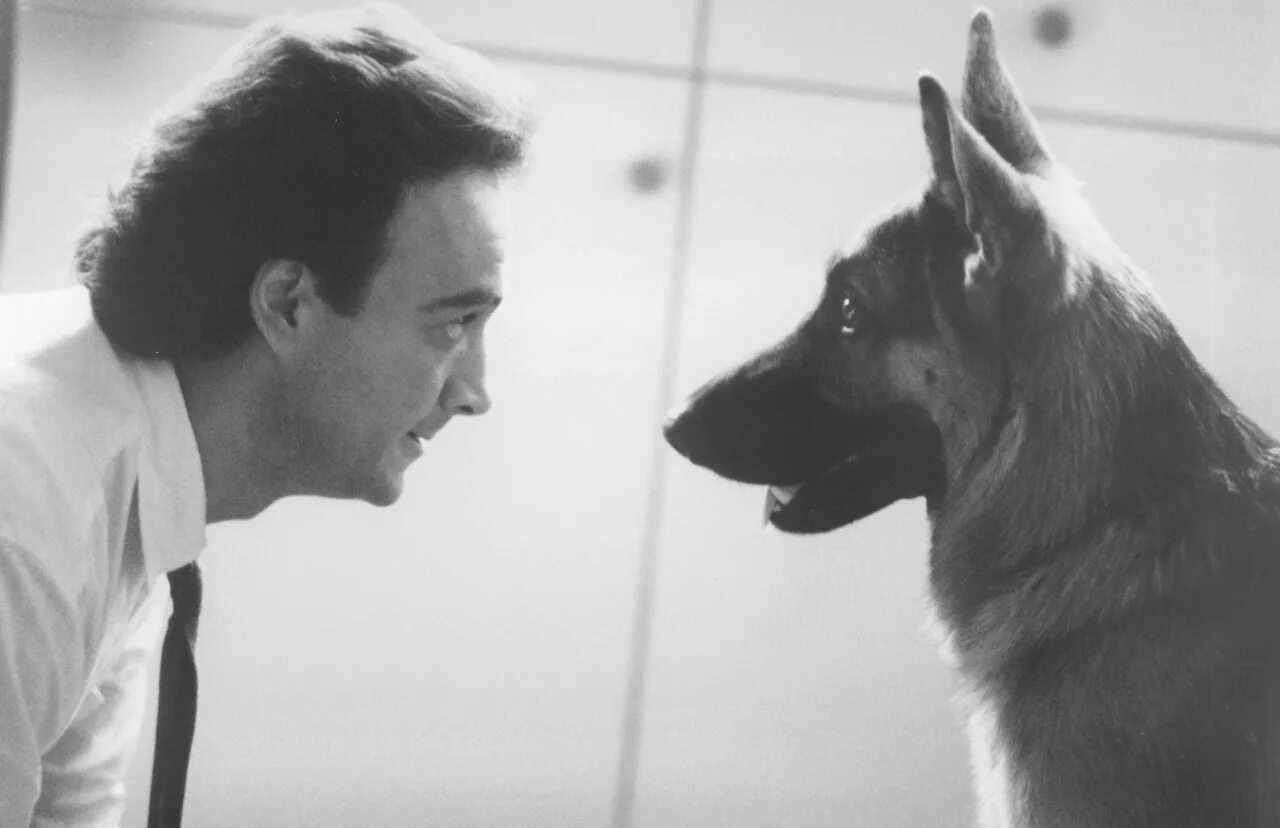 К-9: собачья работа фильм 1989. Собачья работа актер 6. Джеймс белуши k9. Собачья работа актер 6. Джерри собака фильм.