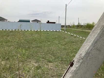 Ромашкино шаховская