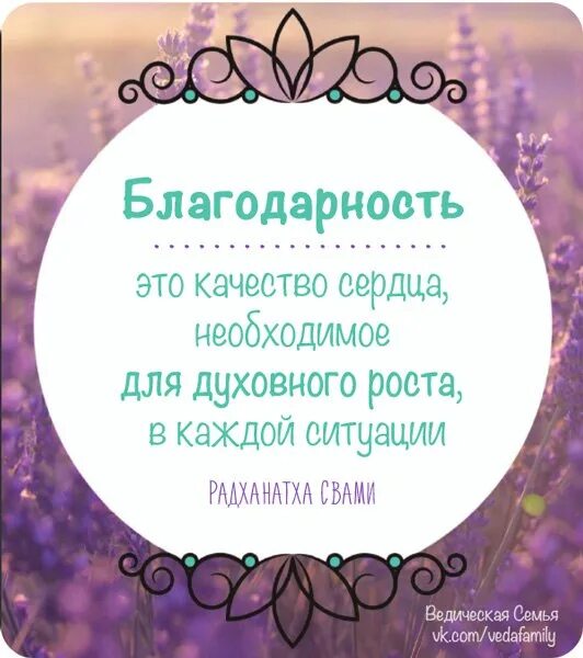 Без благодарные. Благодарность. Благодарность качество. Благодарность это определение. Лучшая благодарность.