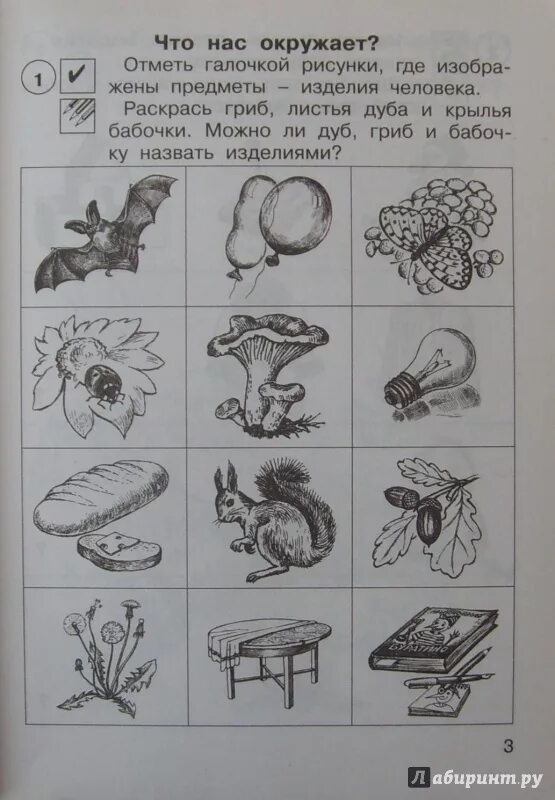 Окружающий мир 1 класс задания. Задания для детей окружающий мир 1 класс. Самостоятельная по окружающему миру. Задание для самостоятельной работы по окружающему миру.