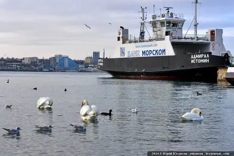 Куда прилетело в севастополе