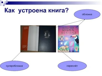 Книжка устраивать
