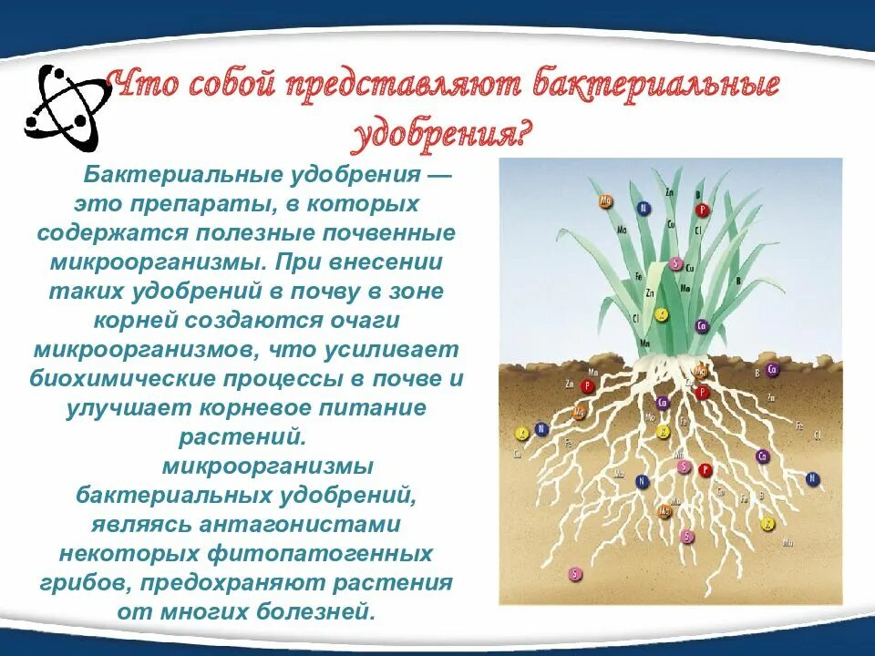 Использование бактериальных удобрений