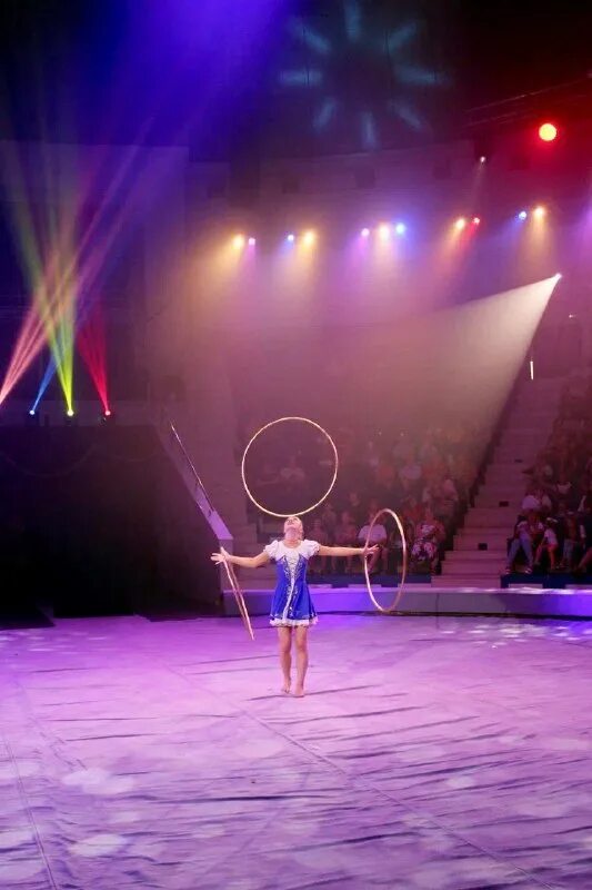 Цирк. Надежда щербакова цирк тула. Сочинский цирк шапито. Цирк тула январь 2024. Цирк.