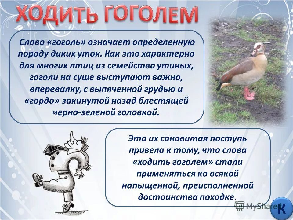 Фразеологизм устойчивое неделимое сочетание слов. Ходить полезно для здоровья. Отвечать с потолка фразеологизм. Раздел науки о языке изучающий устойчивые сочетания слов. По миру ходить значение.