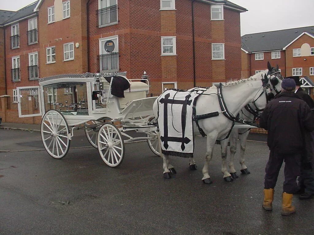 Funeral song. Horses funeral. Band of horses. Armored horse wagon. Лошадь с хозяином.