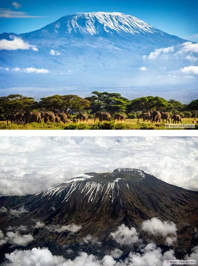 5 самых больших вулканов. Вулкан Килиманджаро. Стратовулкан Килиманджаро. Килиманджаро извержение. Вулкан Килиманджаро извержение вулкана.