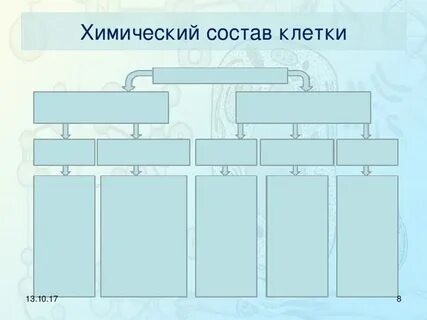 Состав клетки 5