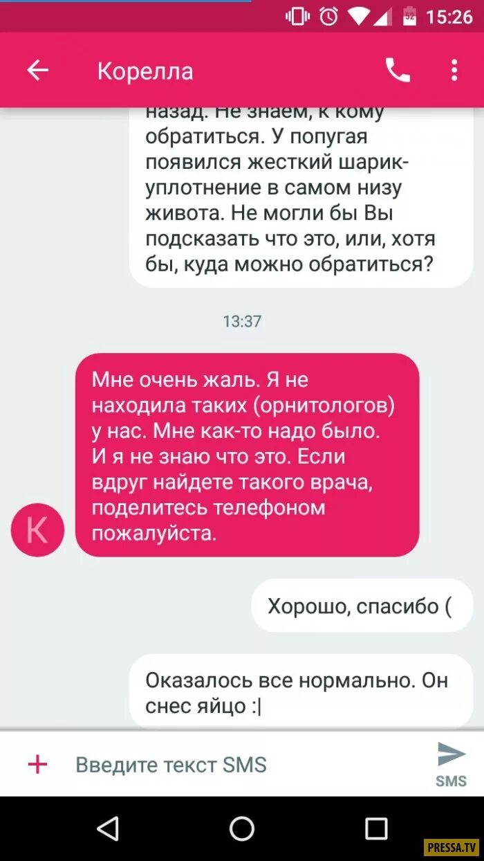 Назад ты знаешь