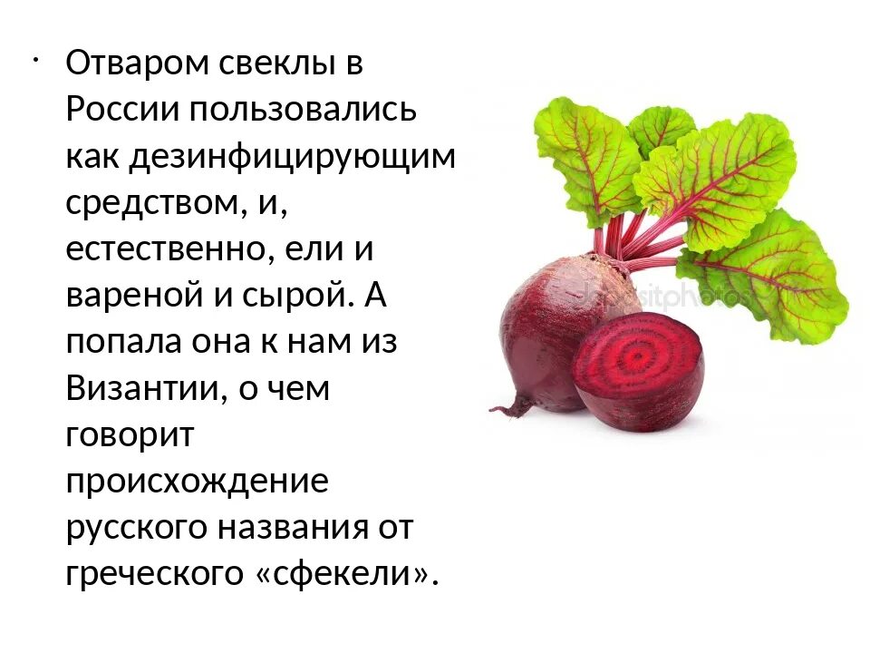 Можно есть свеклу на ночь. Чем полезна свекла вареная. Для чего полезна свекла. Полезные свойства свеклы. Полезна ли вареная свекла.