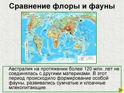 На протяжении более года