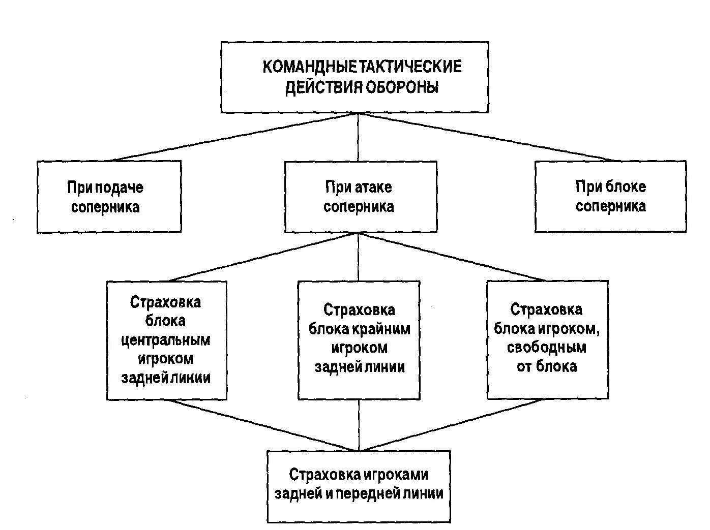 Тактические действия в нападении в волейболе. Командные тактические действия в защите. Командные тактические действия в волейболе. Индивидуального и группового тактического действия в волейболе. Командные тактические действия в защите в волейболе.