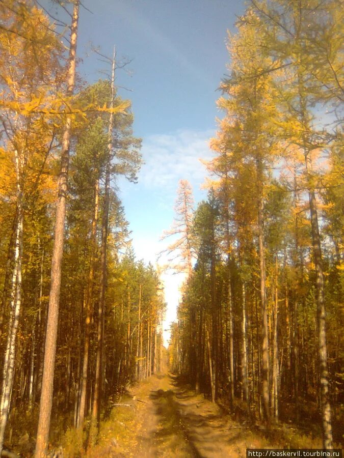 Поселок талакан якутия. Мирный талакан. Талаканское месторождение на карте якутии. Г мирный якутия на карте. Мирный талакан.