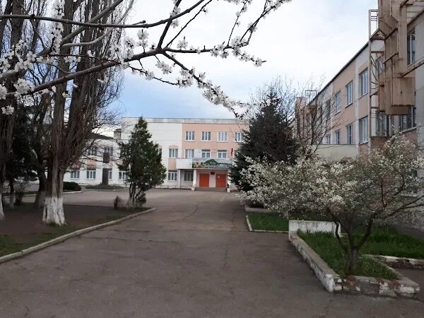 Учителя в 1 школе города железноводска. Школа 1 железноводск. Мбоу оош железноводск. Школа 3 железноводск 1а. Директор 1 школы железноводск.