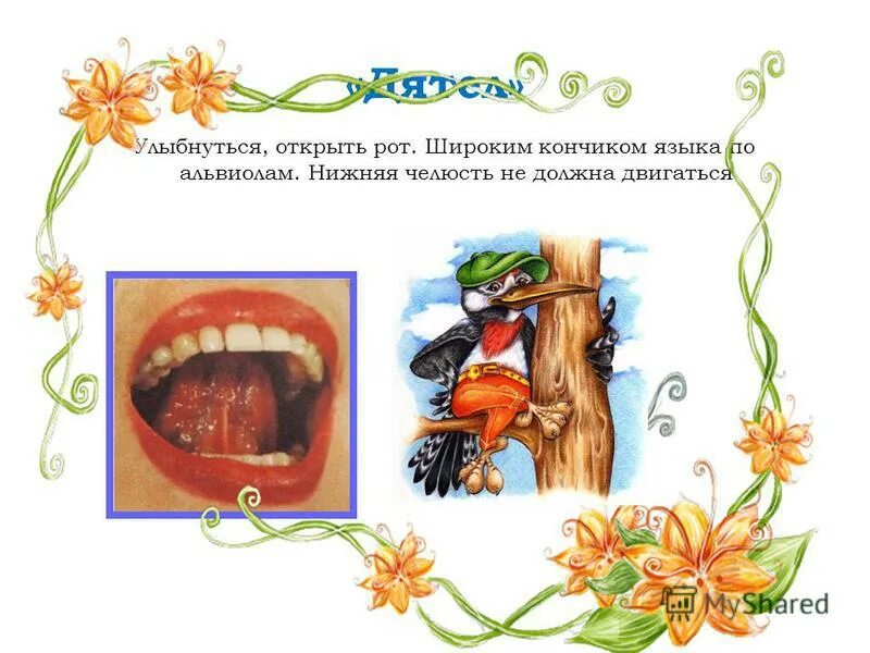 Артикуляционная гимнастика тема животные. Артикуляционная гимнастика тема животные. Весёлая артикуляционная гимнастика нищева. Артикуляционная гимнастика для детей основной комплекс. Упражнение бегемотик артикуляционная гимнастика.