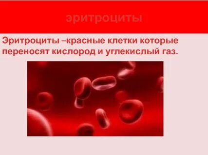 Эритроциты кислород