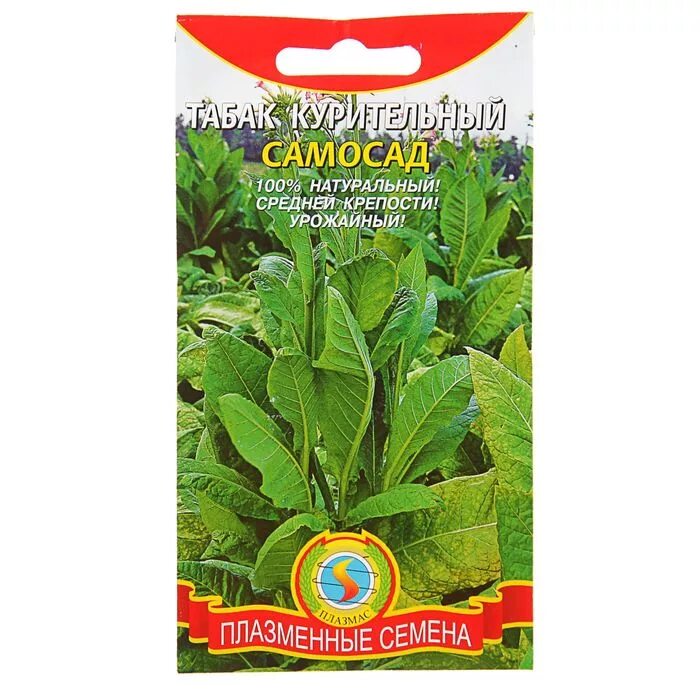Семена табака курительного. Семена табаков. Табак курительный турецкий семена. Семена махорки. Табак самосад семена.