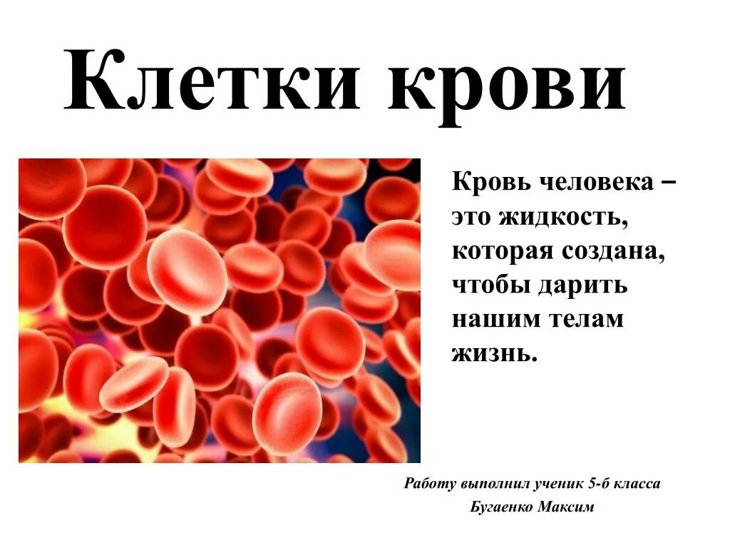 Почему кровь считают. Клетки крови. Строение крови человека. Клетки крови кратко.