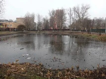 Погода в салтыковке