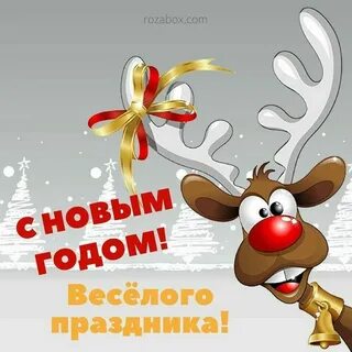 Сновый