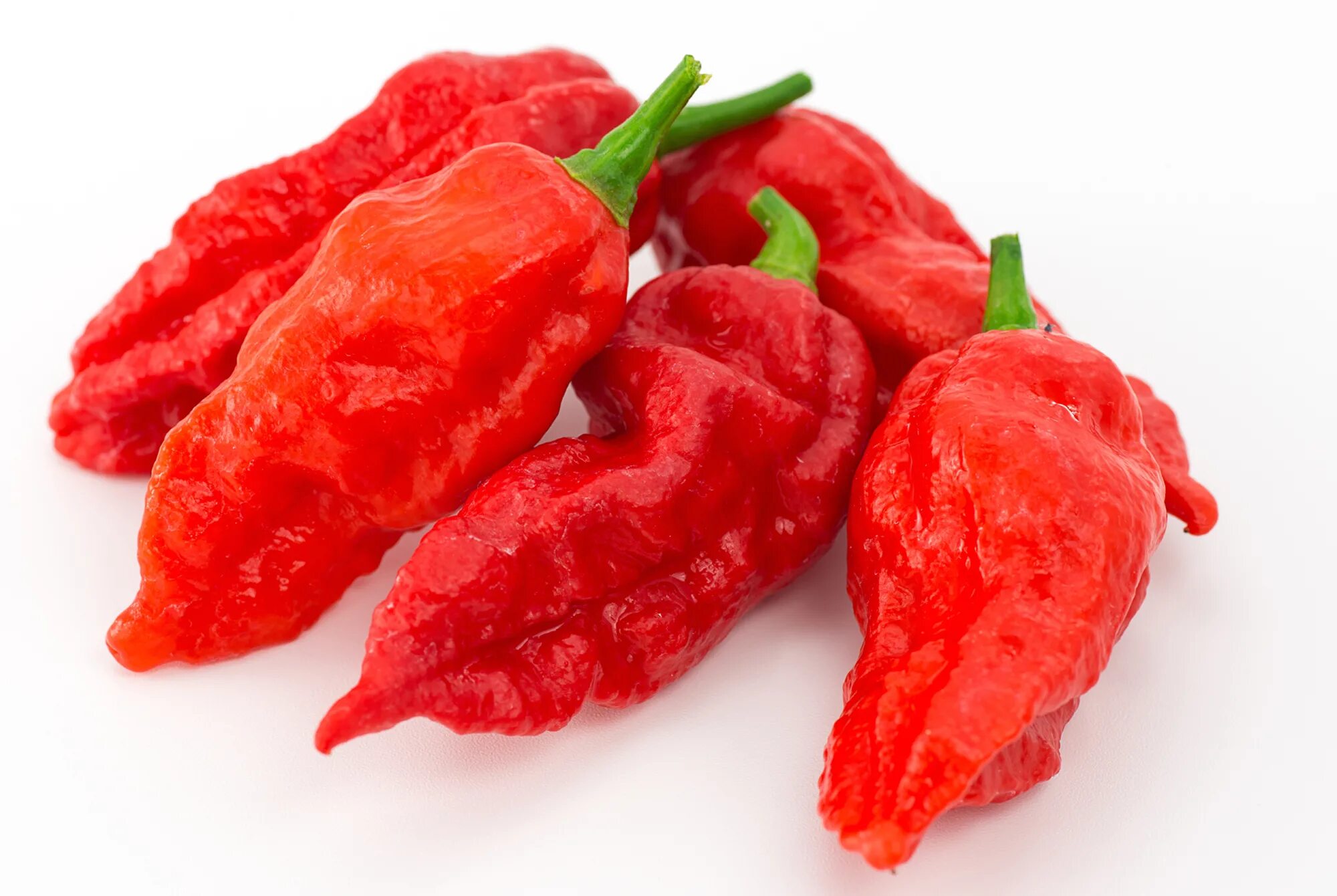 Pepper на русском языке. Бхут Джолокия перец. Ghost Pepper Naga Jolokia. Перец острый Naga Jolokia Нага Джолокия. Перец Ghost Pepper.