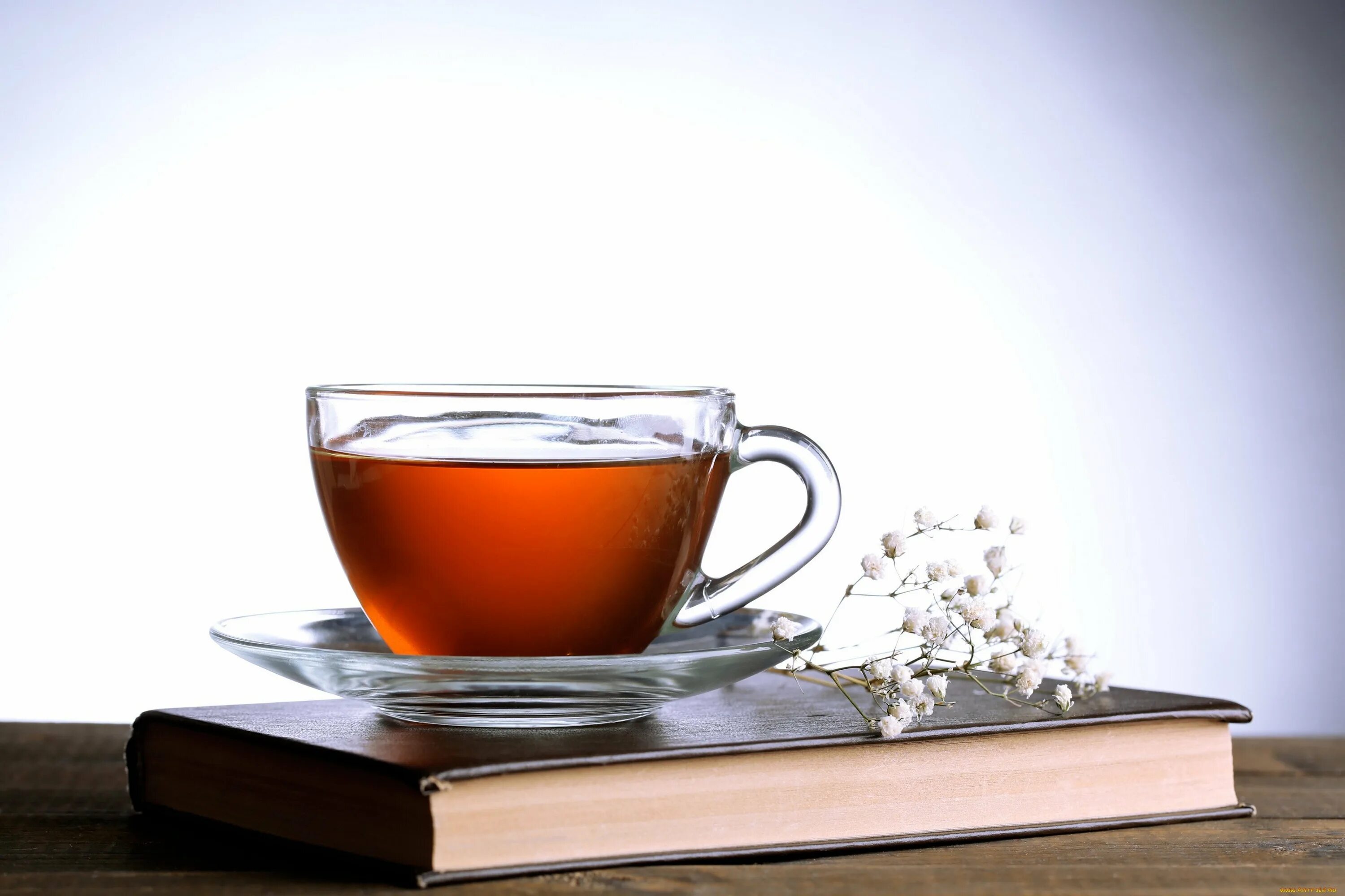 Cup of liber tea helldivers