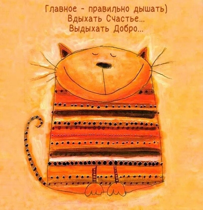 Мотиватор позитивного дня. Картины для поднятия настроения. позитивные открытки. позитивные открытки для поднятия настроения. мотиваторы для поднятия настроения.