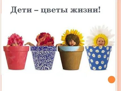 Цветы жизни 4 буквы