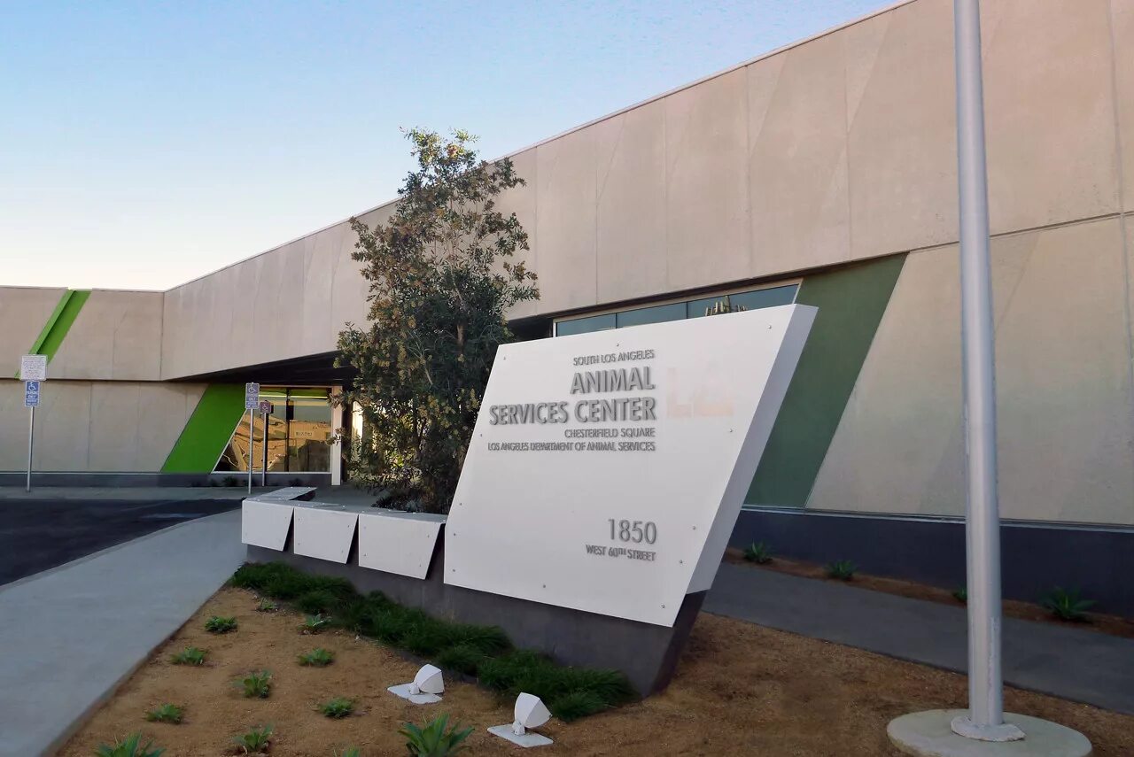 Animal centre. Заветы ильича пушкино. Idea animal care center baku 2024. North hollywood medical center. İdea animal cares center kollektivi.
