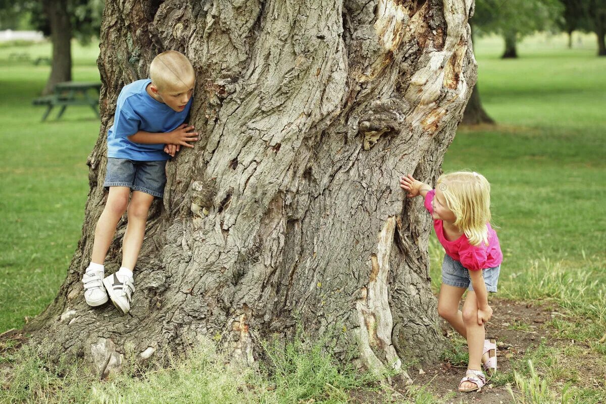 Игра прятки симбочки. Выглядывает из-за дерева. Девочка прячется. Девочка играет в ПРЯТКИ. ПРЯТКИ дети.