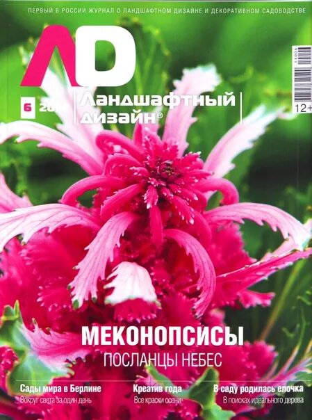 Ландшафтный дизайн под ключ - от проекта до реализации. Москва. Руев Александр П