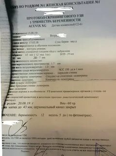 Протокол родов