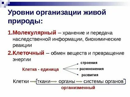 Структурные уровни биология