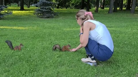 Какие же они классные- эти белки!!! 🐿.