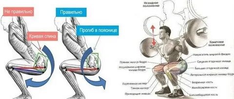 После приседания болят мышцы