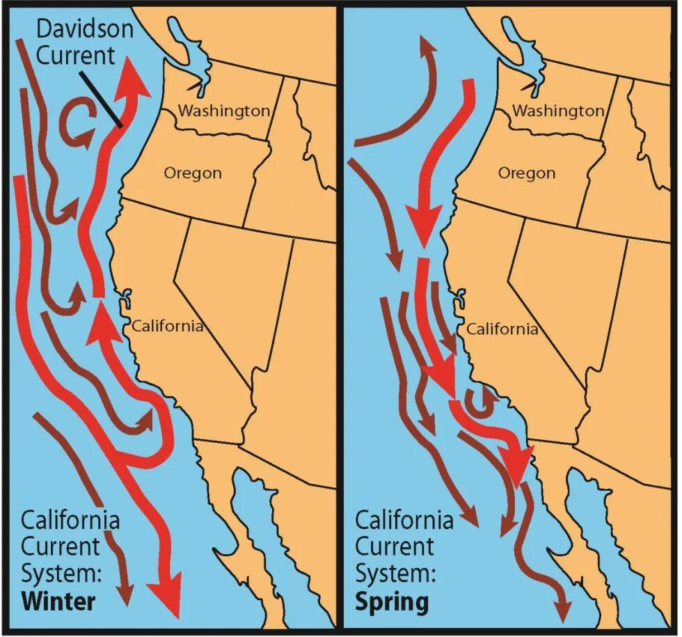 Западное побережье Калифорния команда. Парк Вашингтон Орегон. Coastal ranges California. Davidson current.