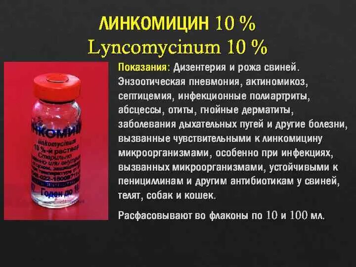 Рожистое воспаление ноги мази антибиотики мазь. Антибиотики при рожистом воспалении ноги таблетки. Антибиотикотерапия при рожистом воспалении. Антибактериальная терапия рожистого воспаления. Антибиотики при рожистом воспалении.