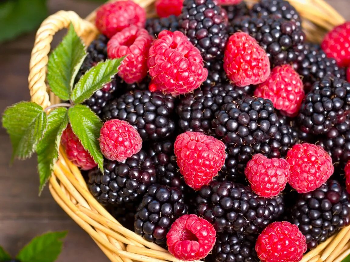 сложные ягоды. чёрная малина и ежевика. плод многокостянка костянка, малины , ежевика. описание ягод. малина фон.