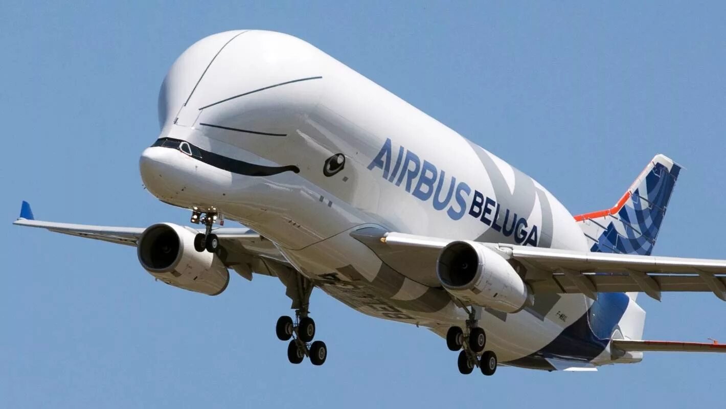 Значение слова аэробус. Аэробус Белуга. Beluga самолет Airbus. Airbus Beluga XL. Боинг Белуга.