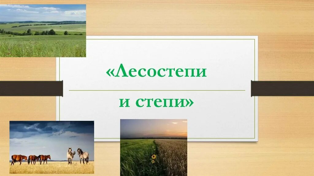 Степи и лесостепи 8 класс полярная звезда. Степи и лесостепи. степь презентация. проект лесостепь. презентация по географии 8 класс.