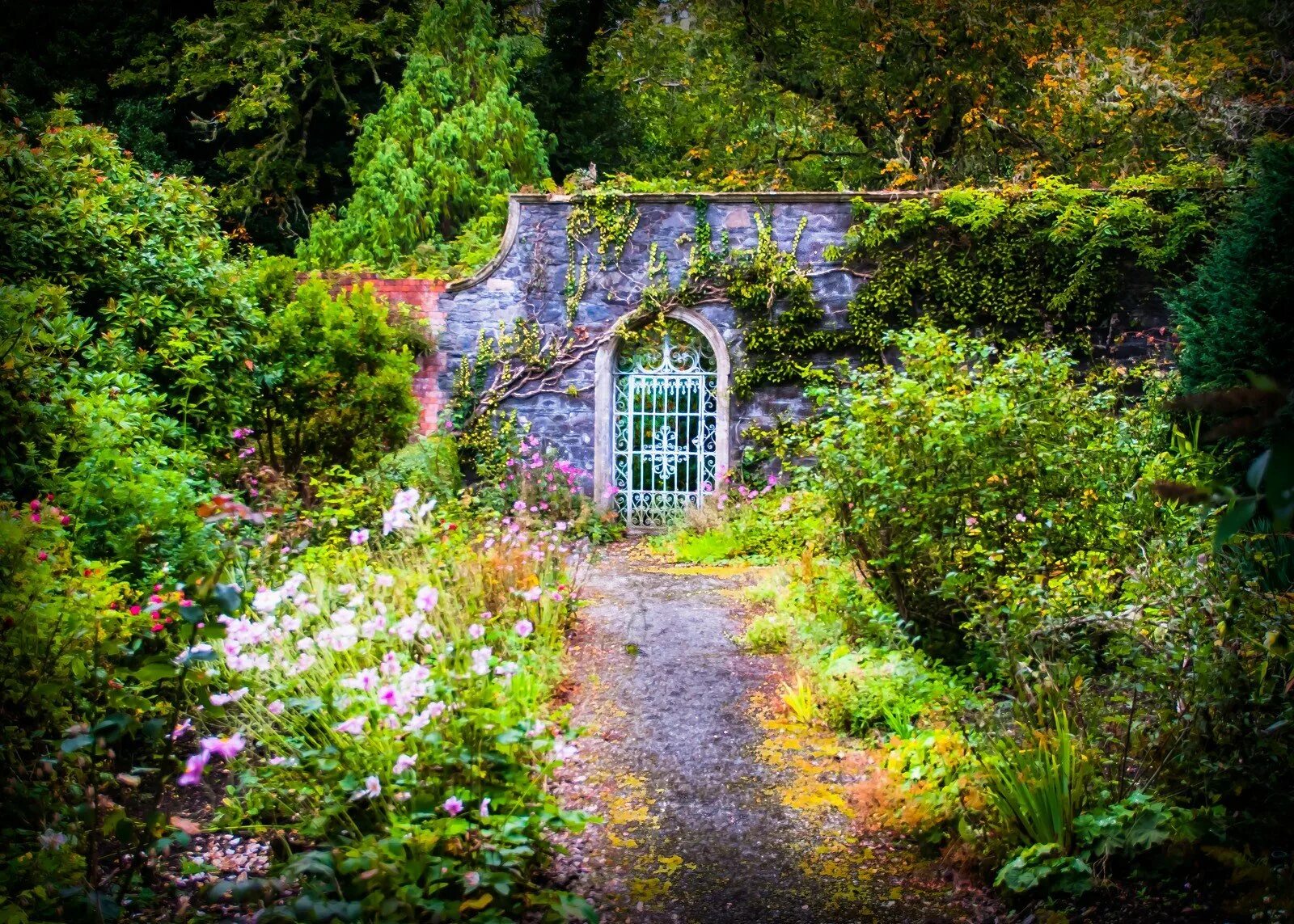 Иллюстрация к таинственному саду ф. The telling garden. Таинственный сад фрэнсис. Сады этрета нормандия. Берсо в ландшафтном дизайне.