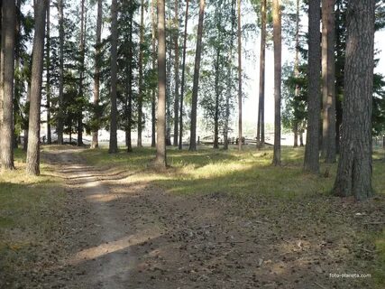 Погода пиляндыш