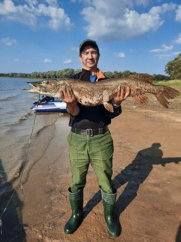 рыцев александр иванович. рыбалка без границ центральный форум. русфишинг вести с водоемов водохранилище рузское. русфишинг вести с водоемов водохранилище рузское. ловит судак когда никлот.