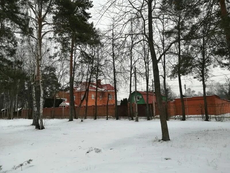 Посёлок малаховка московская область. Поселок малаховка. Достопримечательности малаховки люберецкий район. Летний театр малаховка. Летний парк малаховка театр.